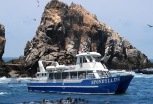 Palomino Islands Tour